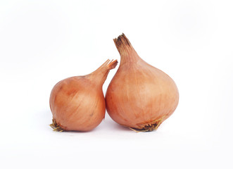 Fototapeta premium Onions Isolated