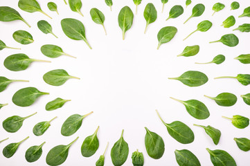 Frame made of spinach leaves on white background. Spinach leaf isolated background. Creative food...