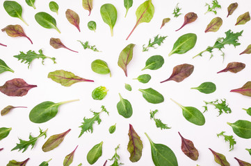 Pattern made of different salad leaves on white background. Ingredients for vegetable salad....