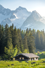 Fototapeta na wymiar Alpine hut in the Austrian mountains