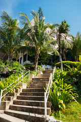 stone stairs in a tropical garden