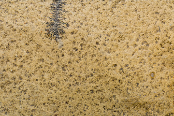 aged granite stone floor tile grunge texture