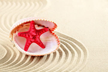 Starfish and shells on the beach.