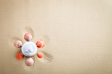 Sea shell on the sea beach. Summer rest.