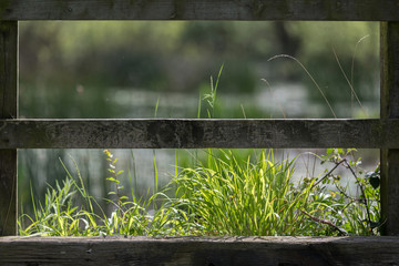 Fototapeta premium Country Lakeside Fence Background Frame