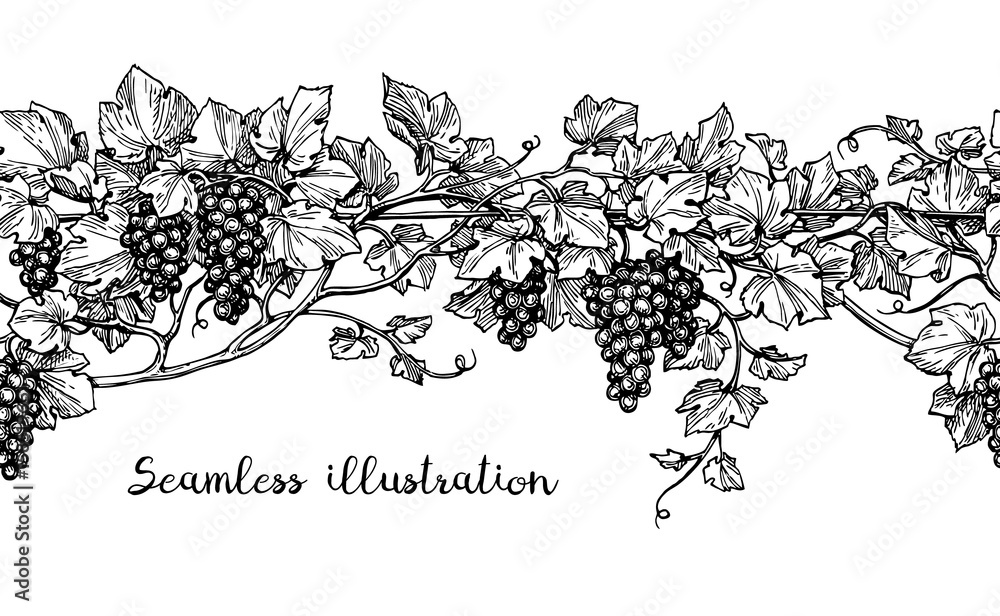 Canvas Prints seamless grapevine sketch