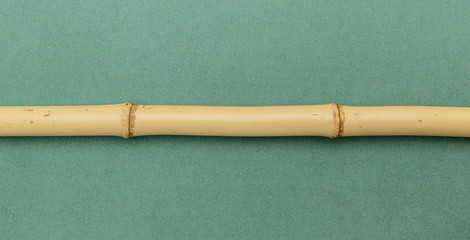 bamboo stick on a green background