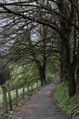Weg bergab