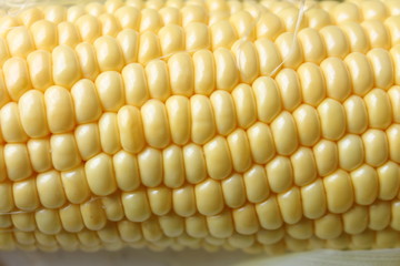 corn