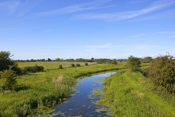 canal landscape in summer