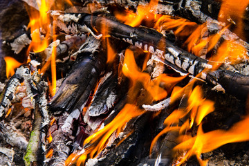 Flame of bonfire. Burning firewood in the fireplace closeup