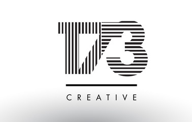 173 Black and White Lines Number Logo Design.