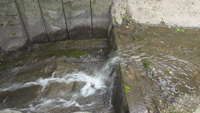 Zoom in stream water in the park. 4k realtime video