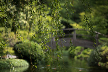 A Bridge Over Troubled Waters