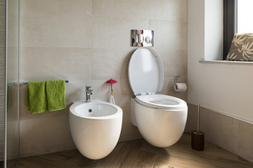 close up of Bidet and wc in the bathroom