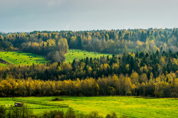 Autumn morning