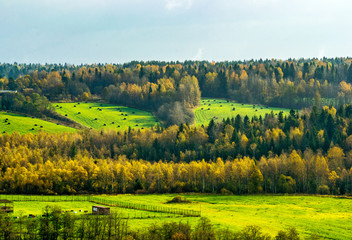Obraz premium Autumn morning