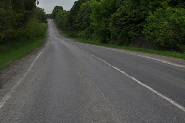 Country road beetwen trees