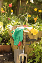 Gardeners gloves and tools lie on a wooden flower pot among flowers in a garden in a sunny day. Concept: a real gardening.