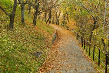Autumn park path