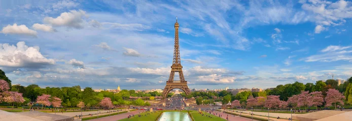 Papier Peint photo autocollant construction de la ville Image panoramique de la tour Eiffel du Trocadéro au printemps.