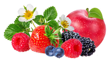     strawberry,apple,raspberry,blackberry, bilberry, blueberries isolated on white