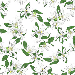 Fototapeta na wymiar Seamless vector pattern of hand drawn flowers and leaves. Tropical background.