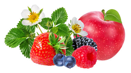     strawberry,apple,raspberry,blackberry, bilberry, blueberries isolated on white