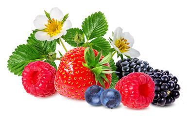 strawberry,raspberry,blackberry, bilberry, blueberries isolated on white