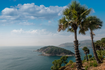 Palms  on  Promthep Cape, Nai Harn beach,  Andaman sea, Phuket, Thailand