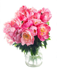 Fresh dark pink peony flowers in vase isolated on white background