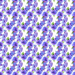 Wildflower violet flower pattern in a watercolor style isolated.