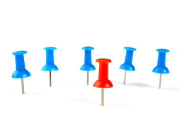 team leader and a group