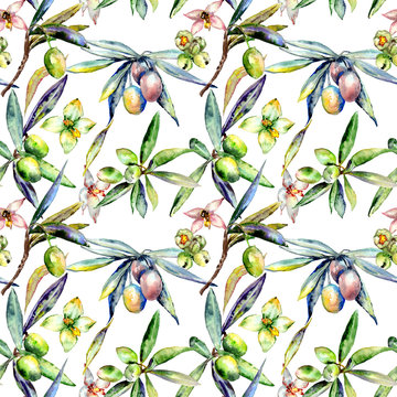 Olive tree pattern  in a watercolor style isolated.