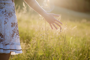 Fototapeta na wymiar Female hand touching summer field