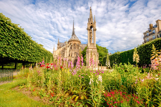 Notre Dame de Paris Cathedral, garden with flowers