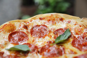pepperoni pizza on wood background