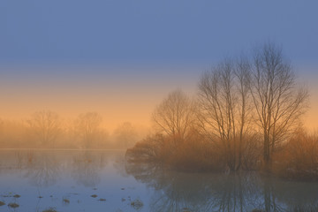 Fototapeta na wymiar Spring fog at sunset.