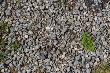 Grass on zen stone floor bacground