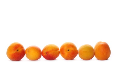 apricots isolated on white