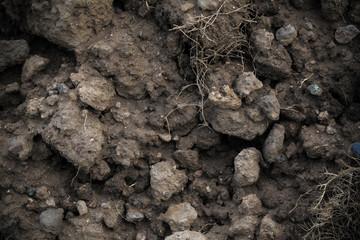 Dark soil background
