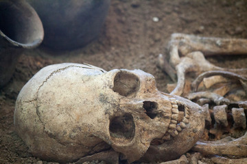 Archaeological excavations of an ancient human skeleton and human skull