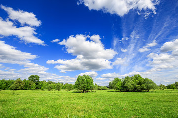 green field with trees and blue sky with clouds Sunny day, beautiful rural landscape