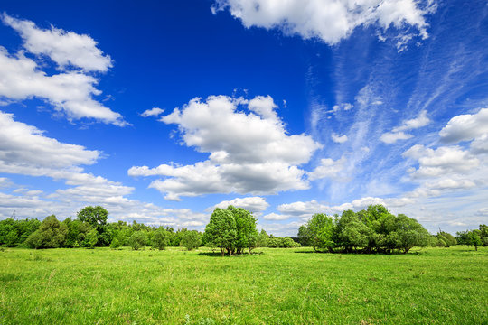 green field with trees and blue sky with clouds Sunny day, beautiful rural landscape