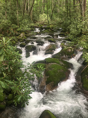 Cascading Stream in the Mountains with Moss Covered Bolders