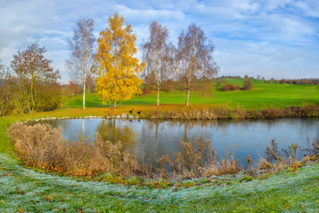 Birke am Wasser mit Gras und Raureif morgens im Herbst