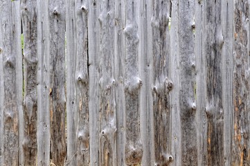 Pine slabs background