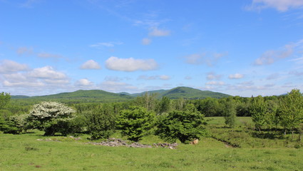 Naklejka premium Eastern Townships landscape