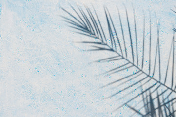 The shadow of the palm leaf on a blue and white background