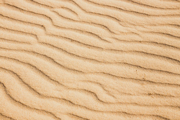 Lines in the sand of a beach, close up